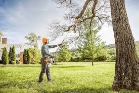 Best Lawn Drainage Solutions  in Sheldon, IA